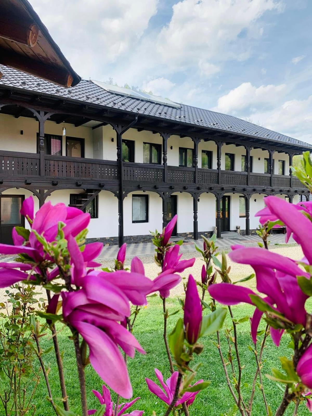 Pensiunea Suci Botiza Exterior photo