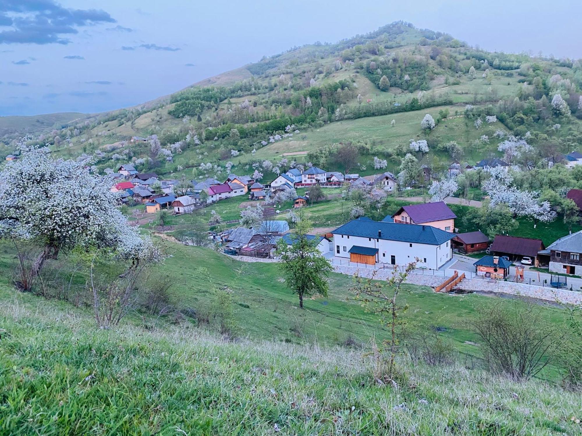 Pensiunea Suci Botiza Exterior photo