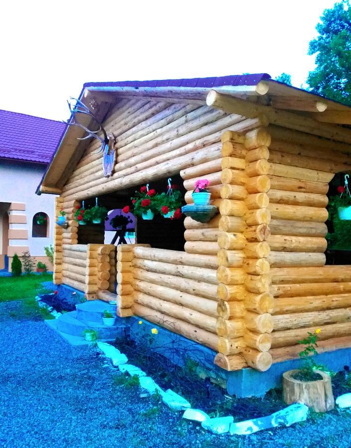 Pensiunea Suci Botiza Exterior photo